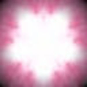 Meet your Posher, Shellie